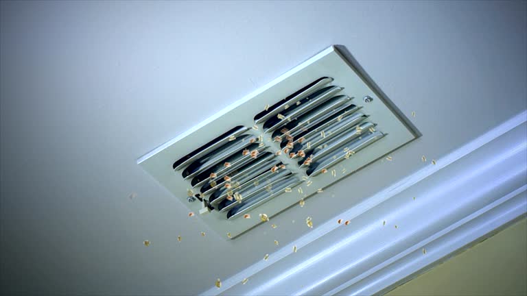 Best Professional Duct Cleaning Services  in Rahway, NJ